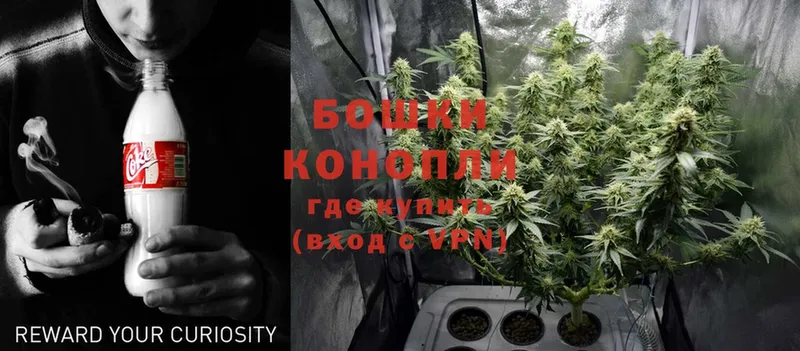 Шишки марихуана Ganja  Гаврилов Посад 